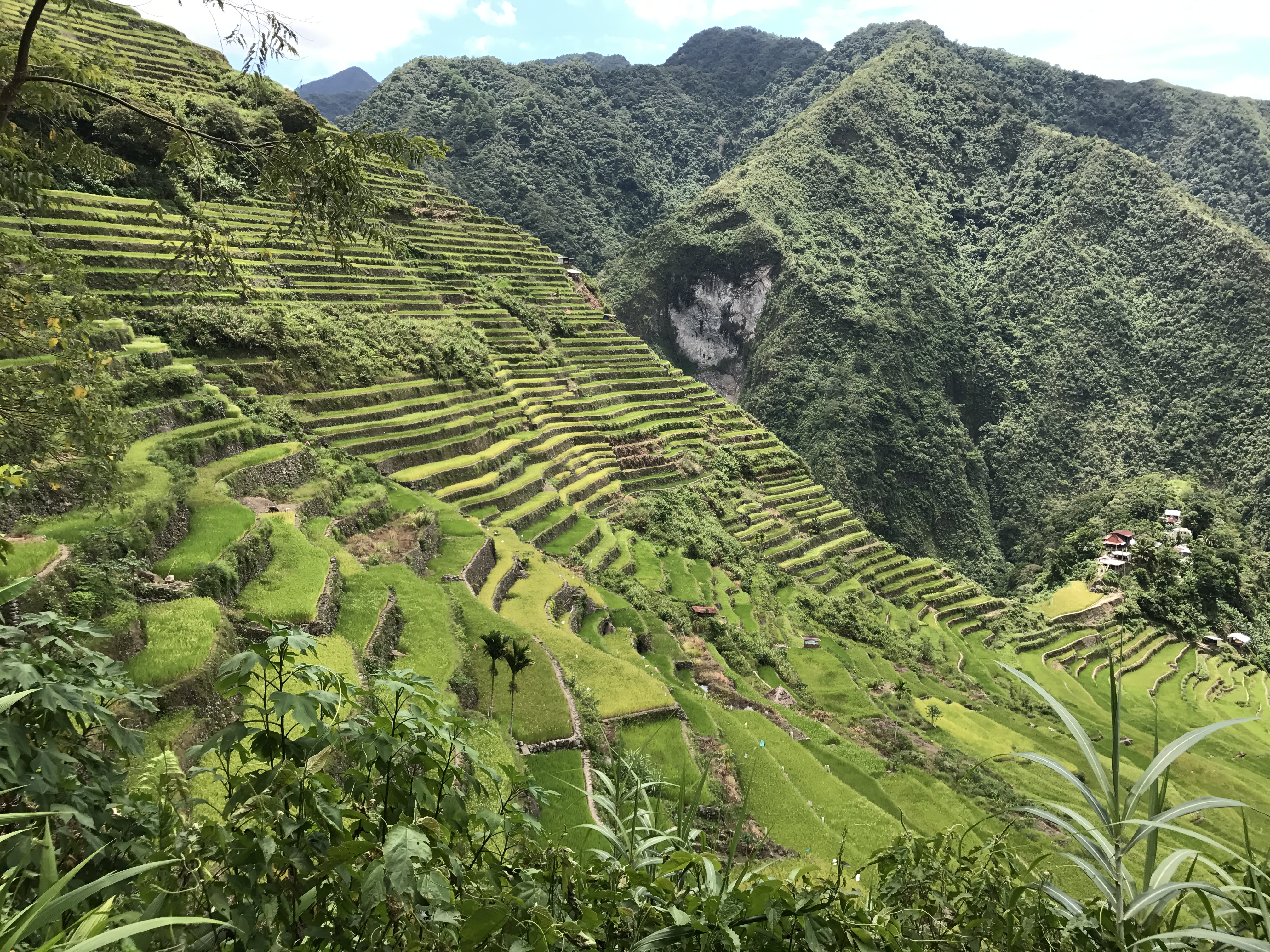 Rice Terraces in Northern Philippines